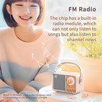 HM11 Altavoz portátil Bluetooth estilo retro con asa-MovilExpressShop