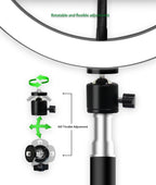 Anillo de luz para Selfie y vídeo, lámpara de luz Led RGB para fotografía con soporte para teléfono móvil, trípode grande para Youtube Tiktok Live-MovilExpressShop