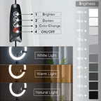 Trípode con anillo de luz LED para teléfono, trípode, soporte para cámara, Selfie, fotografía, lámpara LED, Color, estudio fotográfico para YouTube en vivo-MovilExpressShop