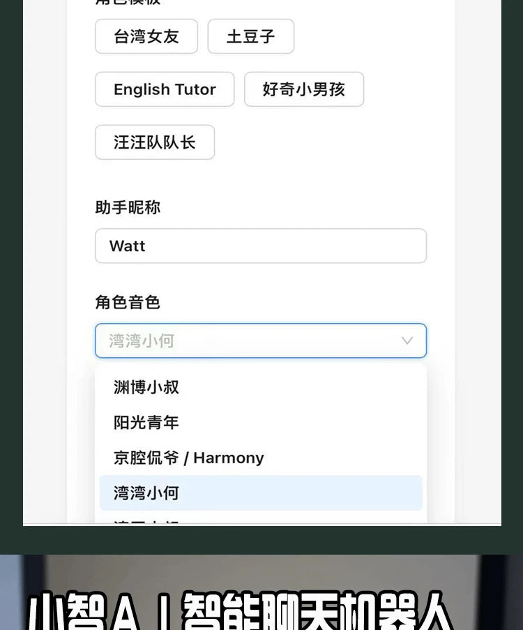 Xiaozhi AI de conversación Robot Wall-E